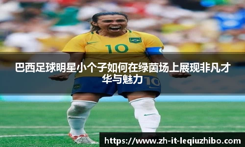巴西足球明星小个子如何在绿茵场上展现非凡才华与魅力